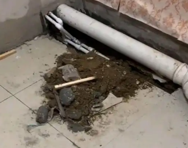 钢城卫生间漏水检测哪家好