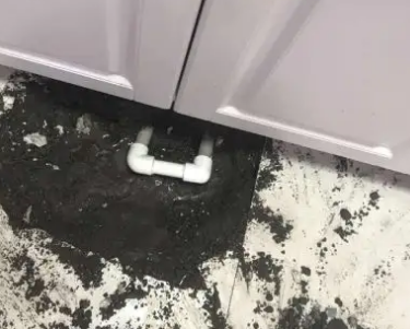 钢城查漏水哪家好